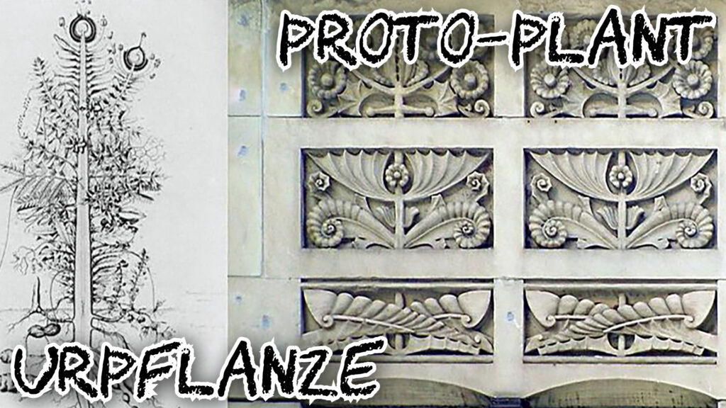 (Left) Goethe's "Urpflanze" Proto-Plant Sullivan, (Right) Jeweler's Root-Stem-Bloom. From Michael O’Brien: Architecture as Ornament—Louis Sullivan's Late Work. Athens Journal of Architectrue 2020, Vol. 6, No. 2, pp. 97–128. Here 102, Fig. 3. doi: 10.30958/aja.6-2-1